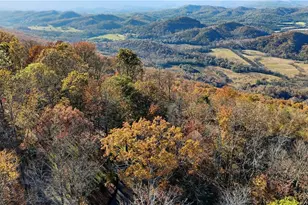 141 Brow Lake Rd, Lookout Mountain, GA 30750 - Photo 58