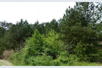 204 Benefield Court, Stockbridge, GA 30281 - Photo 16