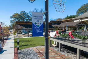 6660 Parsons St, Flowery Branch, GA 30542 - Photo 86