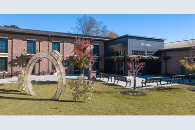 6664 Parsons Street, Flowery Branch, GA 30542 - Photo 108