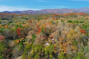 110 Covered Bridge Rd, Sautee Nacoochee, GA 30571 - Photo 46