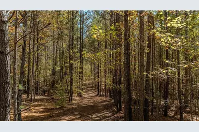 0 Jones Ferry Road #Lot 1, Chattahoochee Hills, GA 30268 - Photo 4