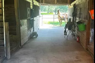 3400 N Sharon Church Road N, Loganville, GA 30052 - Photo 6