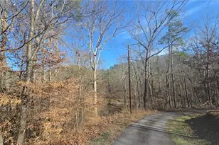 124 Puckett Rd SE, Emerson, GA 30137 - Photo 22