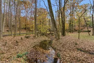 1525 Huntingford Dr, Marietta, GA 30068 - Photo 64