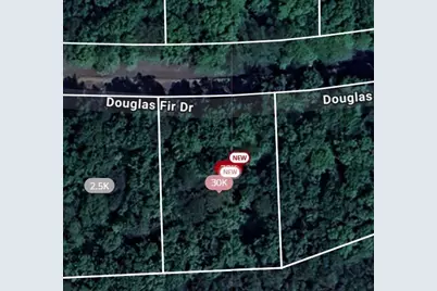 105 Douglas Fir Drive, Waleska, GA 30183 - Photo 1