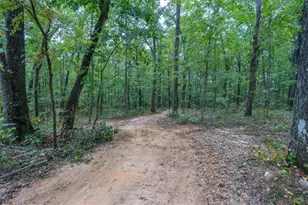 6058 Mt Zion Rd, Waco, GA 30182 - Photo 10