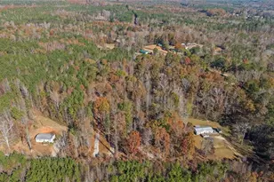 256 Mangham Rd, Bremen, GA 30110 - Photo 42