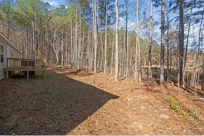 256 Mangham Road, Bremen, GA 30110 - Photo 38