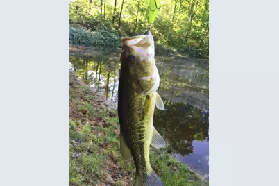 508 Millertown Road, Temple, GA 30179 - Photo 4