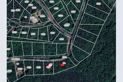 101 Douglas Fir Drive, Waleska, GA 30183 - Photo 2