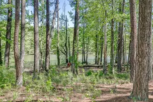 2930 Aquitania Ln, Cumming, GA 30040 - Photo 70