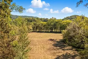 910 Brush Town Rd, Cisco, GA 30708 - Photo 6