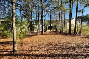 10 Tabasco Cat Ct, Cartersville, GA 30120 - Photo 34