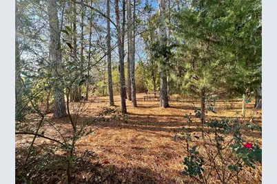 10 Tabasco Cat Court, Cartersville, GA 30120 - Photo 30