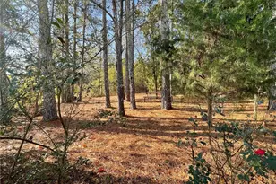 10 Tabasco Cat Ct, Cartersville, GA 30120 - Photo 30