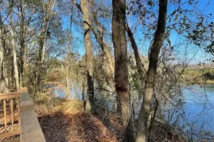 10 Tabasco Cat Ct, Cartersville, GA 30120 - Photo 52