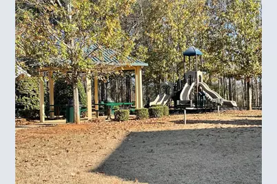 10 Tabasco Cat Court, Cartersville, GA 30120 - Photo 42