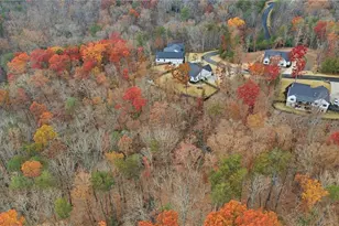 115 Brighton Rd, Ball Ground, GA 30107 - Photo 60