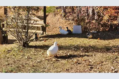 105 Candlewood Path, Dallas, GA 30157 - Photo 6