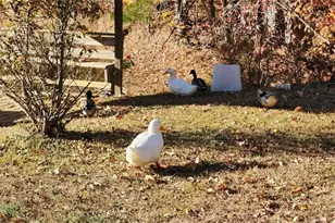 105 Candlewood Path, Dallas, GA 30157 - Photo 6