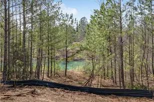 153 Clover Path, Dallas, GA 30132 - Photo 42