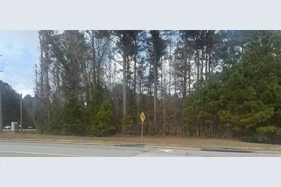 0 Hilo Road, Fayetteville, GA 30215 - Photo 4