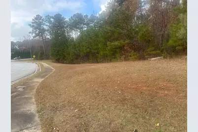 0 Hilo Road, Fayetteville, GA 30215 - Photo 10