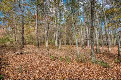 1461 Bradford Lane, Monroe, GA 30656 - Photo 66