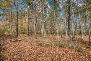 1461 Bradford Ln, Monroe, GA 30656 - Photo 66