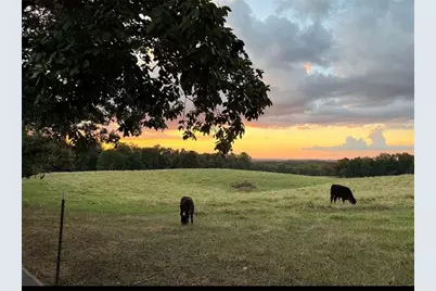 185 Talon Drive SE, Rydal, GA 30171 - Photo 8