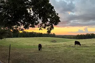 185 Talon Dr SE, Rydal, GA 30171 - Photo 8