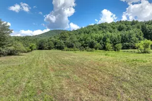 28 Ac Jolley Way, Epworth, GA 30541 - Photo 6