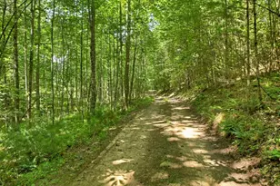 28 Ac Jolley Way, Epworth, GA 30541 - Photo 34