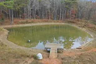 5320 N Helton Rd, Winston, GA 30187 - Photo 98