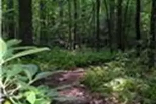 114 Eagle Heart Ct, Waleska, GA 30183 - Photo 48