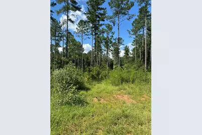 00 Fears Road, Madison, GA 30650 - Photo 34