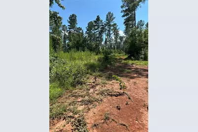 00 Fears Road, Madison, GA 30650 - Photo 10