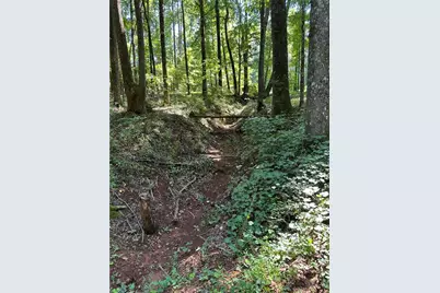 00 Fears Road, Madison, GA 30650 - Photo 2