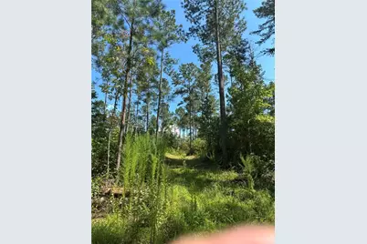 00 Fears Road, Madison, GA 30650 - Photo 12