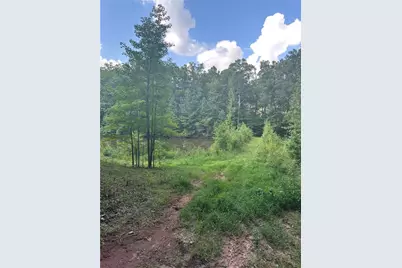 0 Fears Road, Madison, GA 30650 - Photo 10