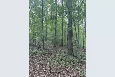 0 Fears Road, Madison, GA 30650 - Photo 2