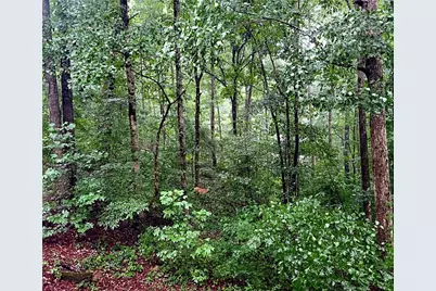 324 Sutallee Place, White, GA 30184 - Photo 28