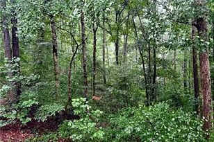 324 Sutallee Pl, White, GA 30184 - Photo 28