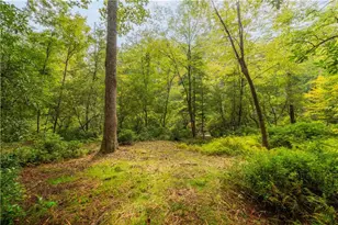 27 Riverview Ln, Cherrylog, GA 30522 - Photo 58