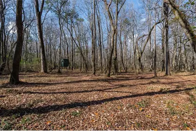 1585 Hays Mill Road, Carrollton, GA 30117 - Photo 28