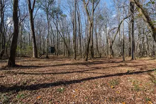 1585 Hays Mill Rd, Carrollton, GA 30117 - Photo 28