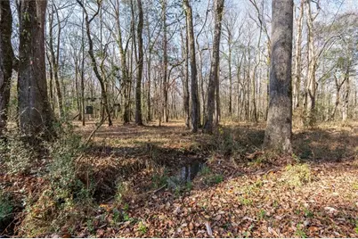 1585 Hays Mill Road, Carrollton, GA 30117 - Photo 30