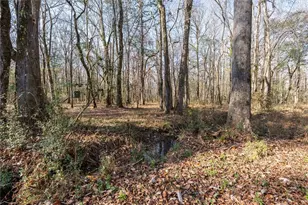 1585 Hays Mill Rd, Carrollton, GA 30117 - Photo 30