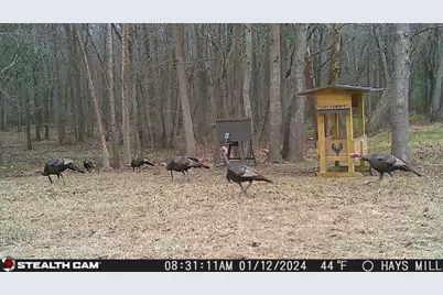 1585 Hays Mill Road, Carrollton, GA 30117 - Photo 20